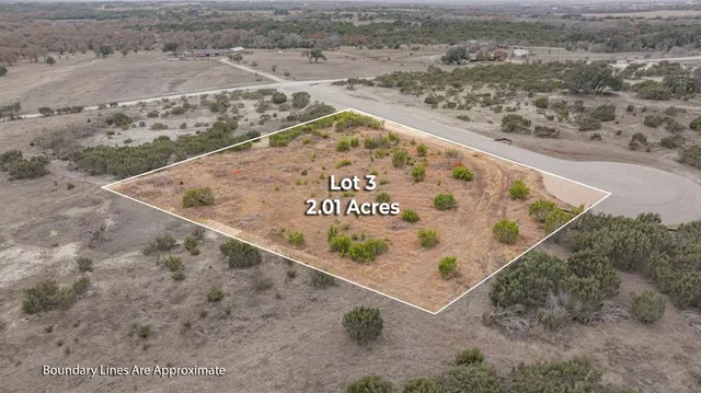 an aerial view of a forest