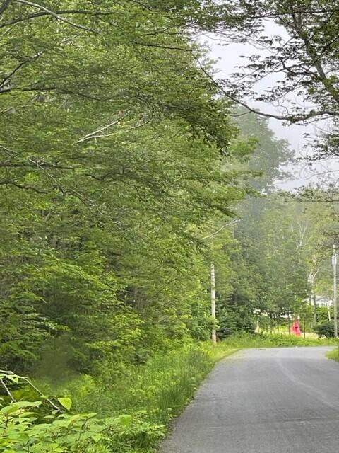 471 S Road, Unit B Chebeague Island, ME 04017 - Photo 12 of 24 Pole #99 in distance