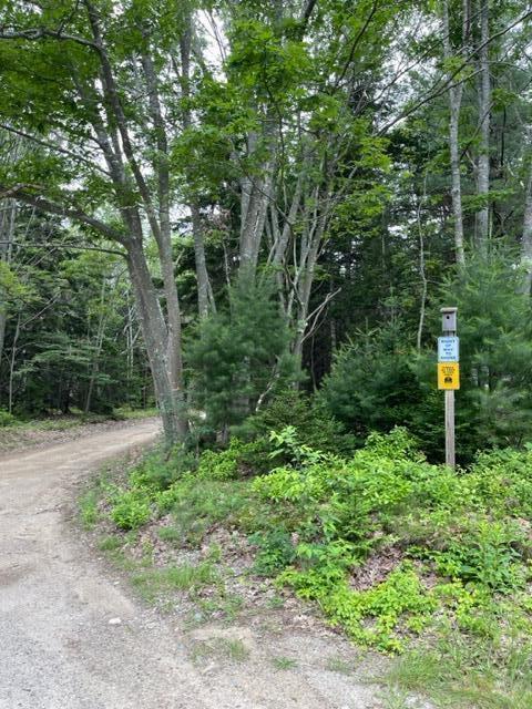 471 S Road, Unit B Chebeague Island, ME 04017 - Photo 13 of 24 Shoreline access one of many