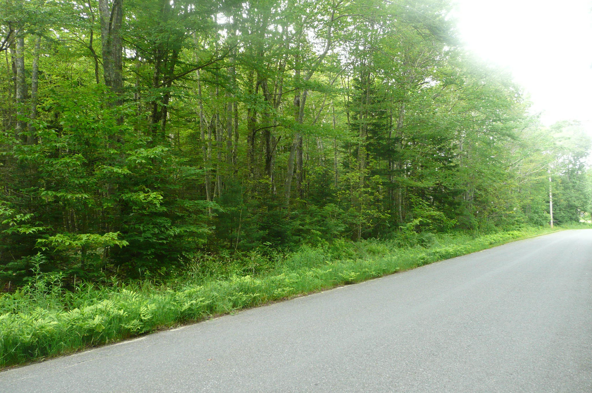 471 S Road, Unit B Chebeague Island, ME 04017 - Photo 15 of 24 Approx. 250' of 530' of Rd. Frontage