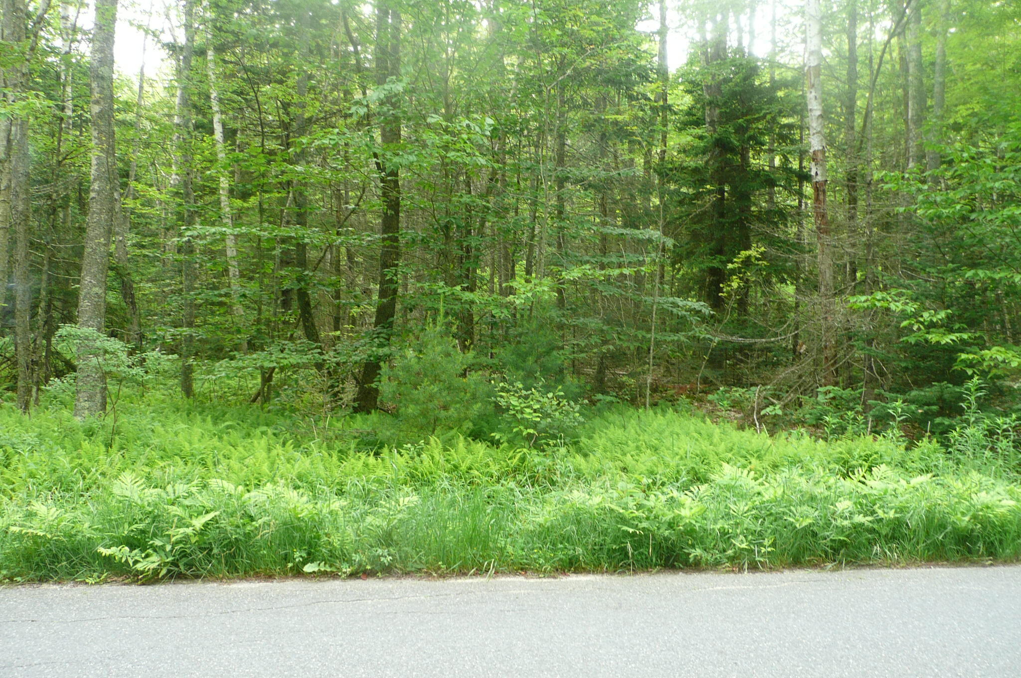 471 S Road, Unit B Chebeague Island, ME 04017 - Photo 16 of 24 P1060336