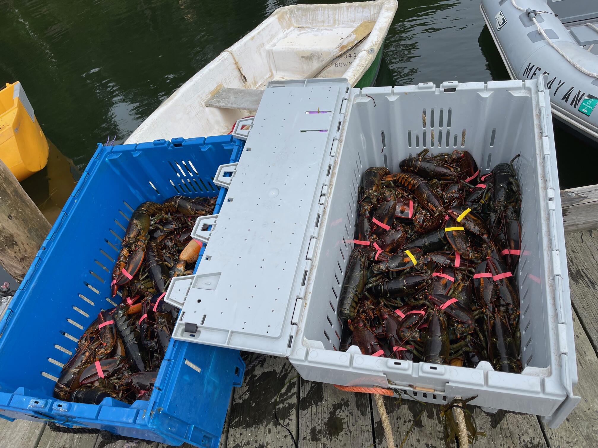 471 S Road, Unit B Chebeague Island, ME 04017 - Photo 20 of 24 Lobster Bake
