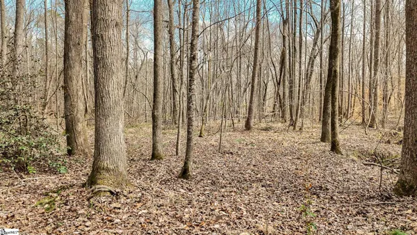 $215,000 | 650 Lake Road, Clinton, SC 29325