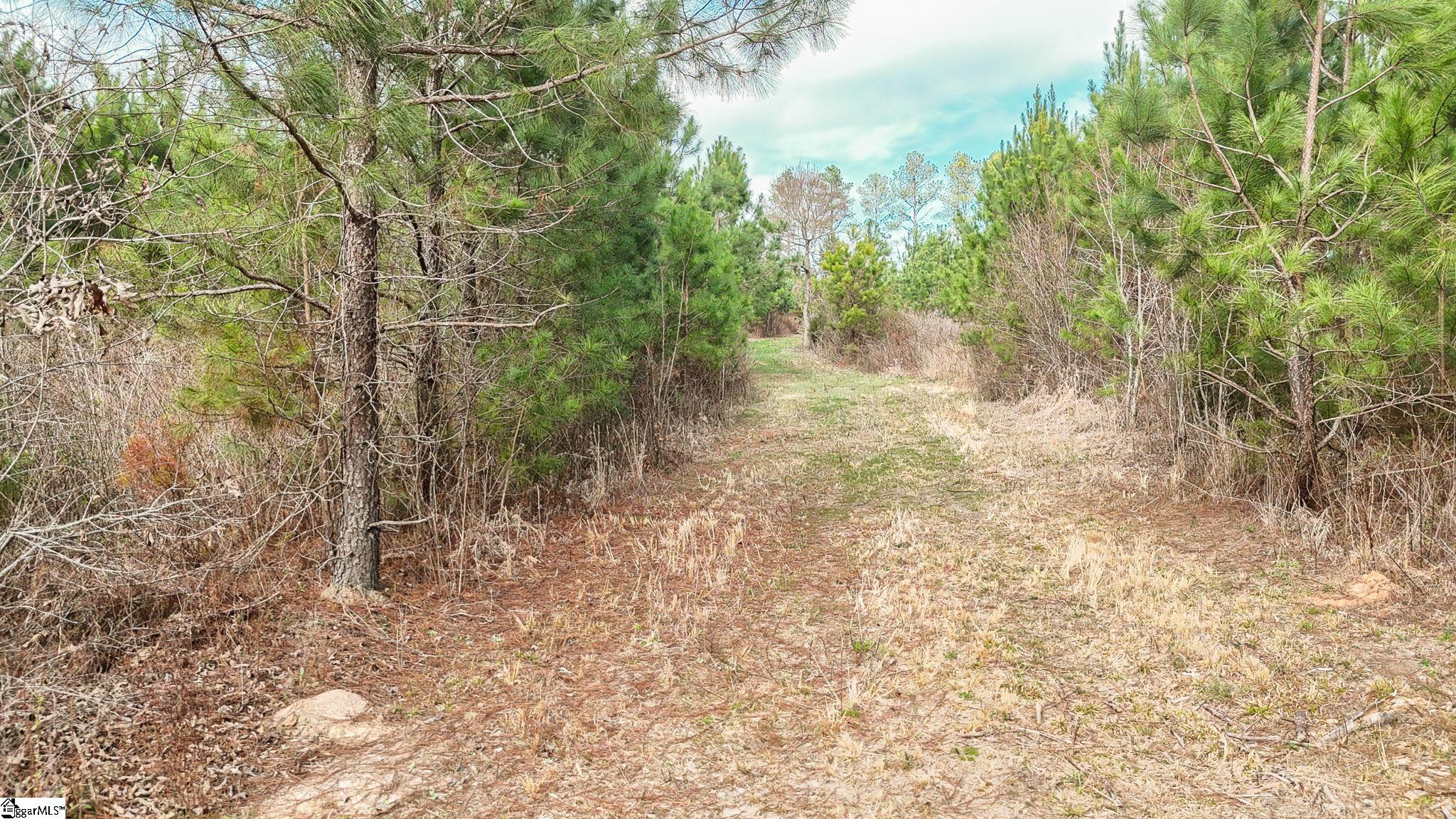 650 Lake Road Clinton, SC 29325 - Photo 4 of 23