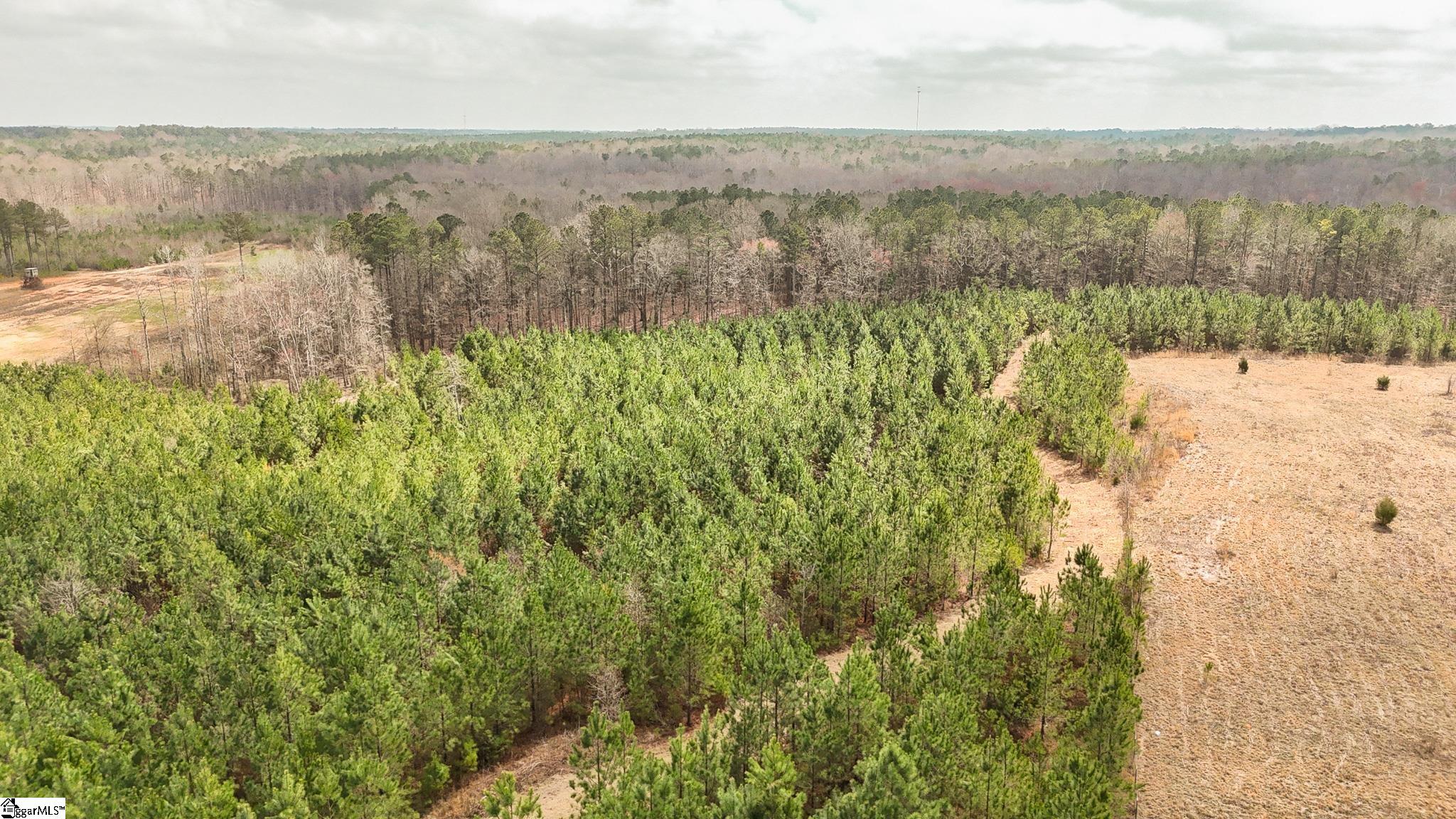 650 Lake Road Clinton, SC 29325 - Photo 7 of 23