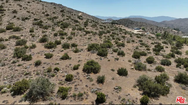 a view of a field with a mountain in the background