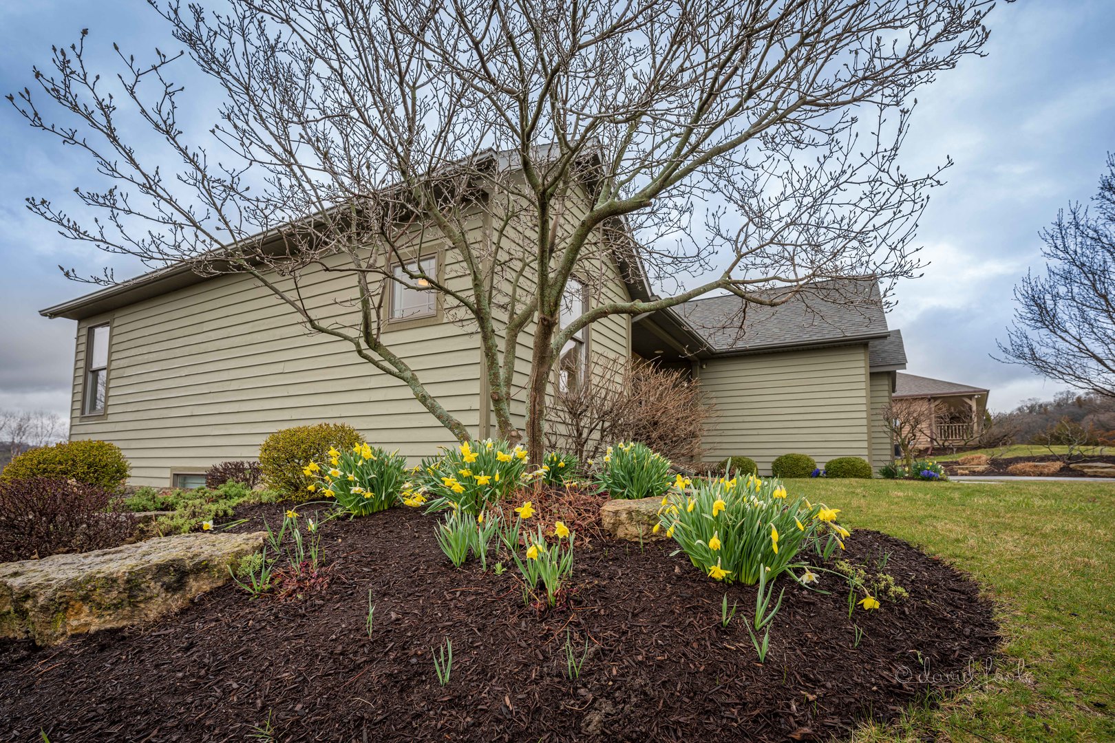4 Saddleback Road Galena, IL 61036 - Photo 3 of 30 a backyard of a house with lots of green space