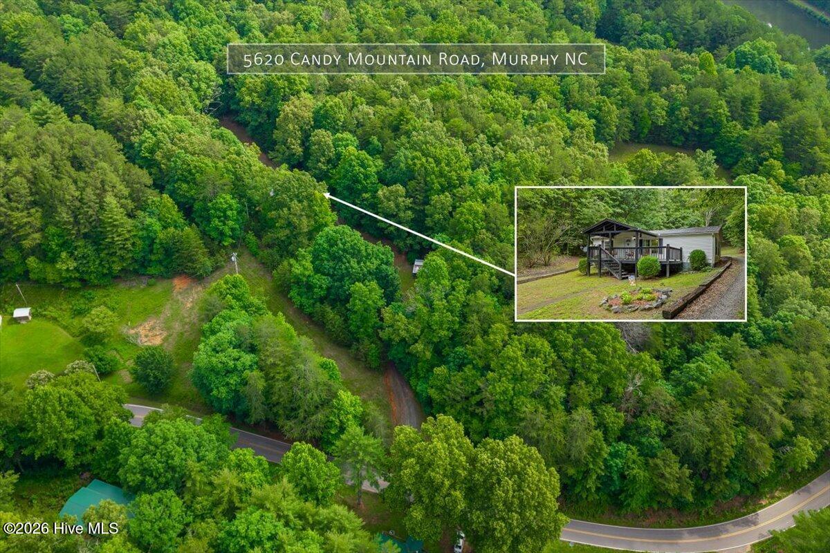 5620 Candy Mountain Road Murphy, NC 28906 - Photo 2 of 42
