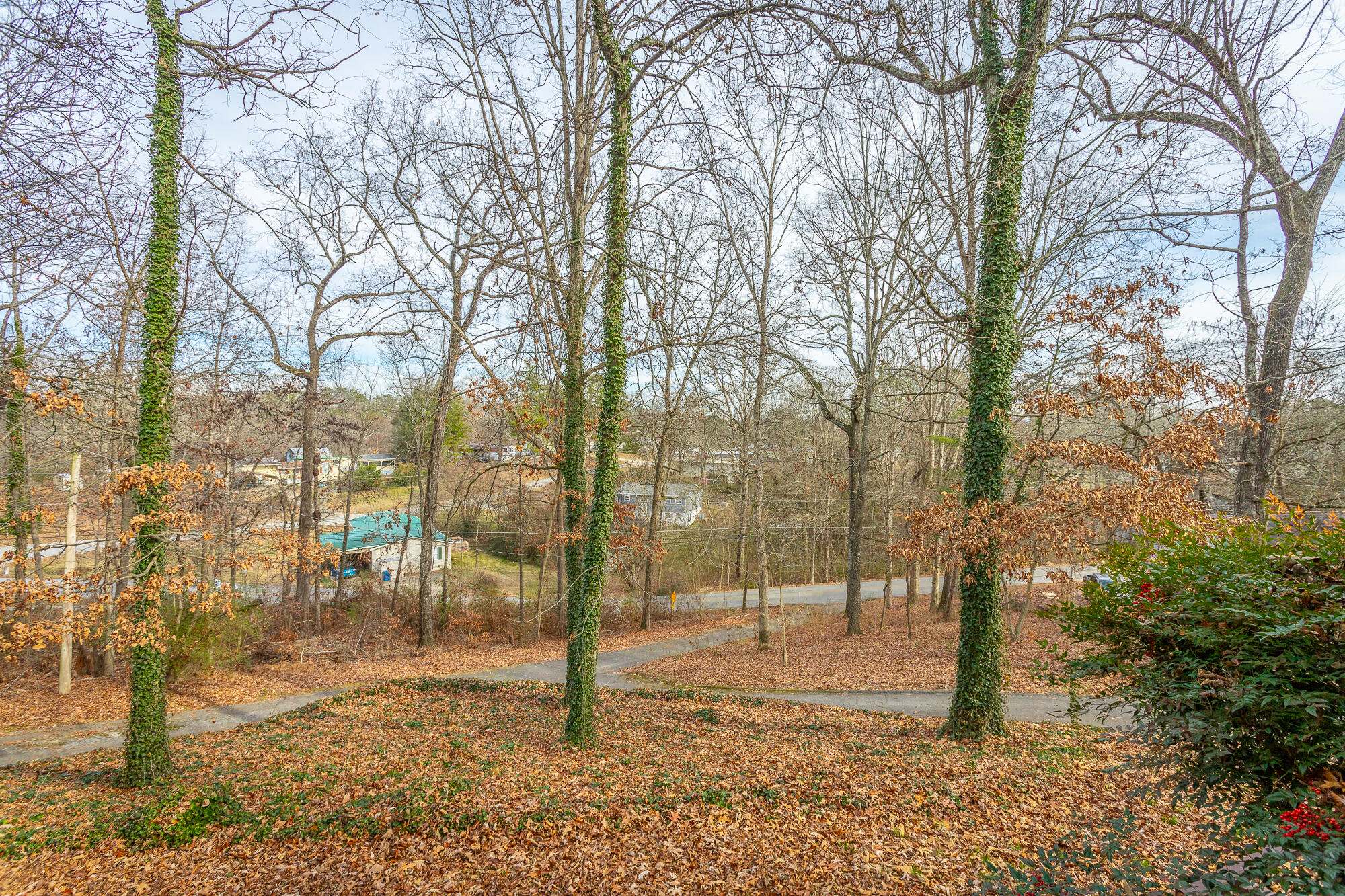 8983 Hale Road Hixson, TN 37343 - Photo 35 of 40 8983 Hale Road HD-90