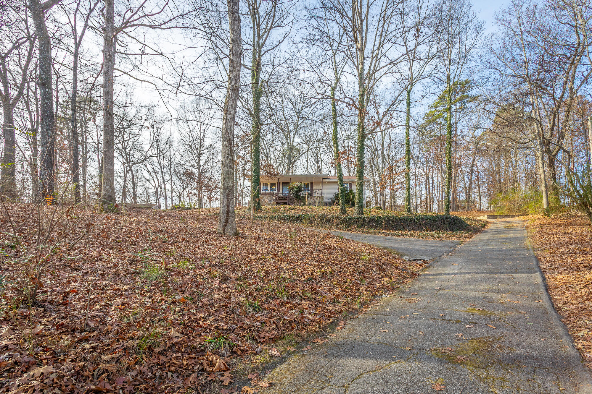 8983 Hale Road Hixson, TN 37343 - Photo 4 of 40 8983 Hale Road HD-4