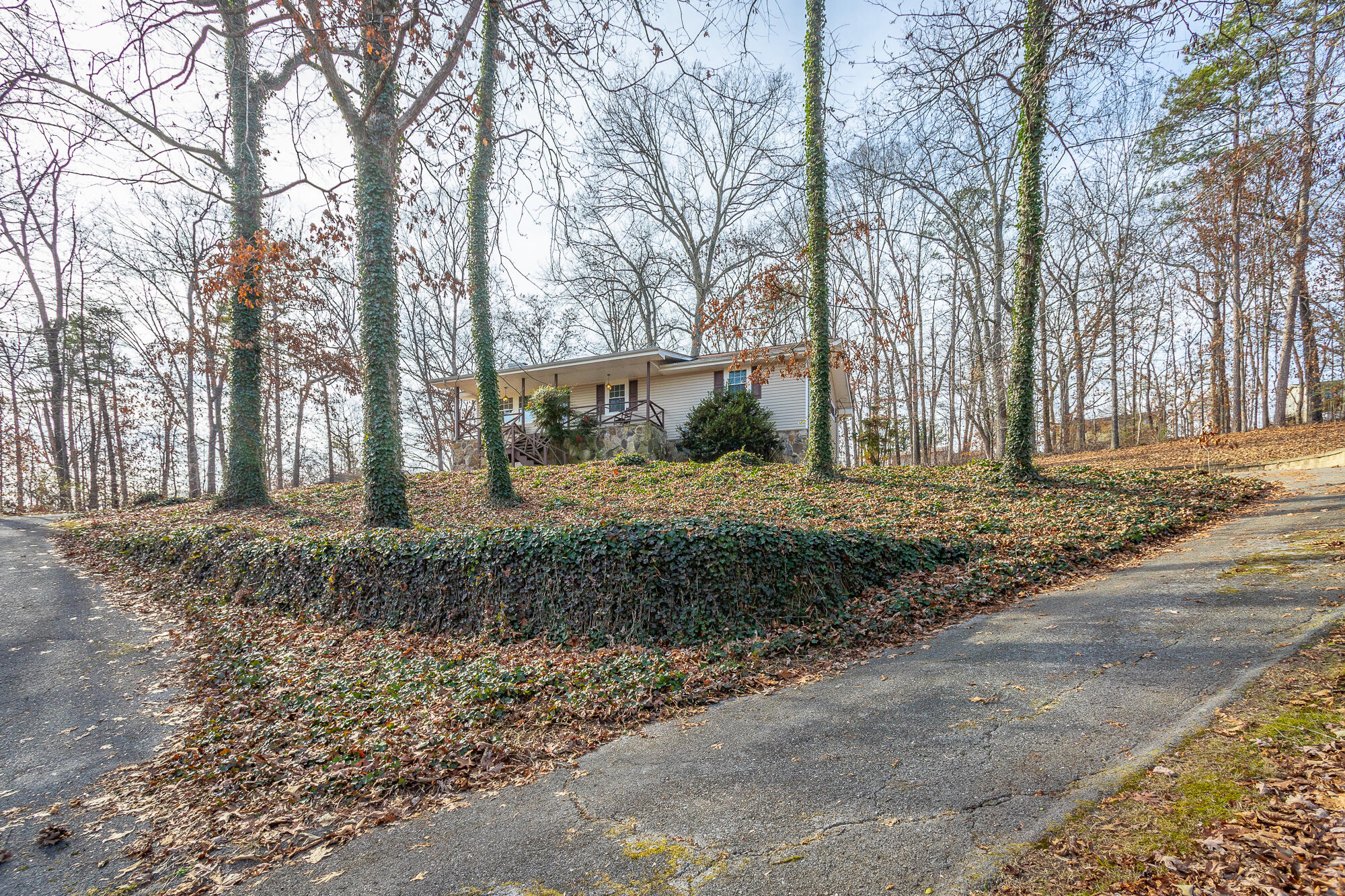 8983 Hale Road Hixson, TN 37343 - Photo 5 of 40 8983 Hale Road HD-9