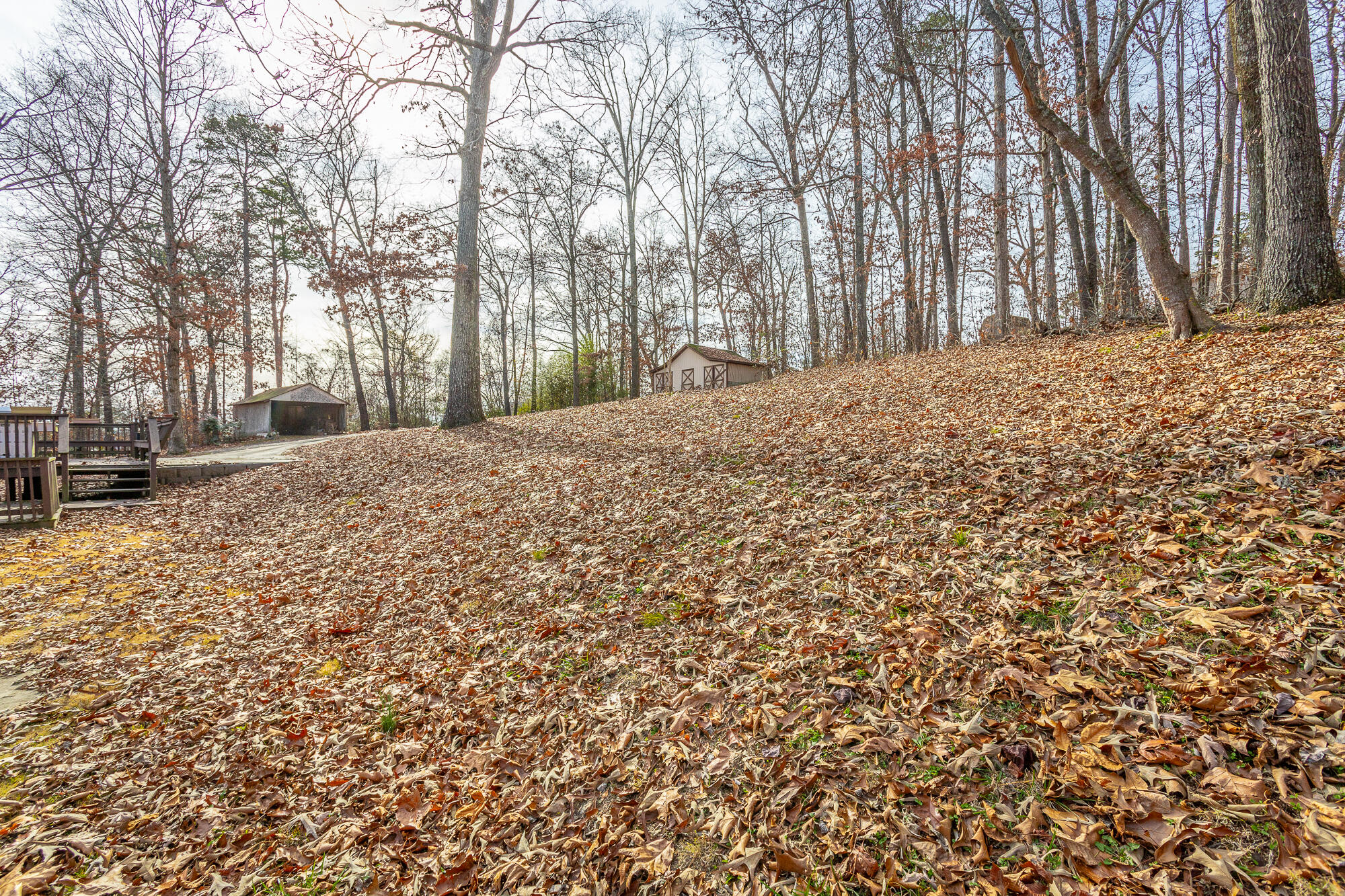 8983 Hale Road Hixson, TN 37343 - Photo 10 of 40 8983 Hale Road HD-33