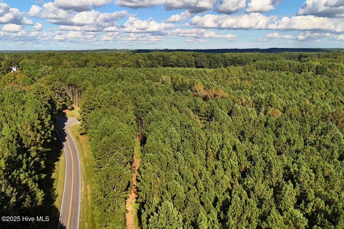 0 Bissette Road Sims, NC 27880 - Photo 22 of 41 22.