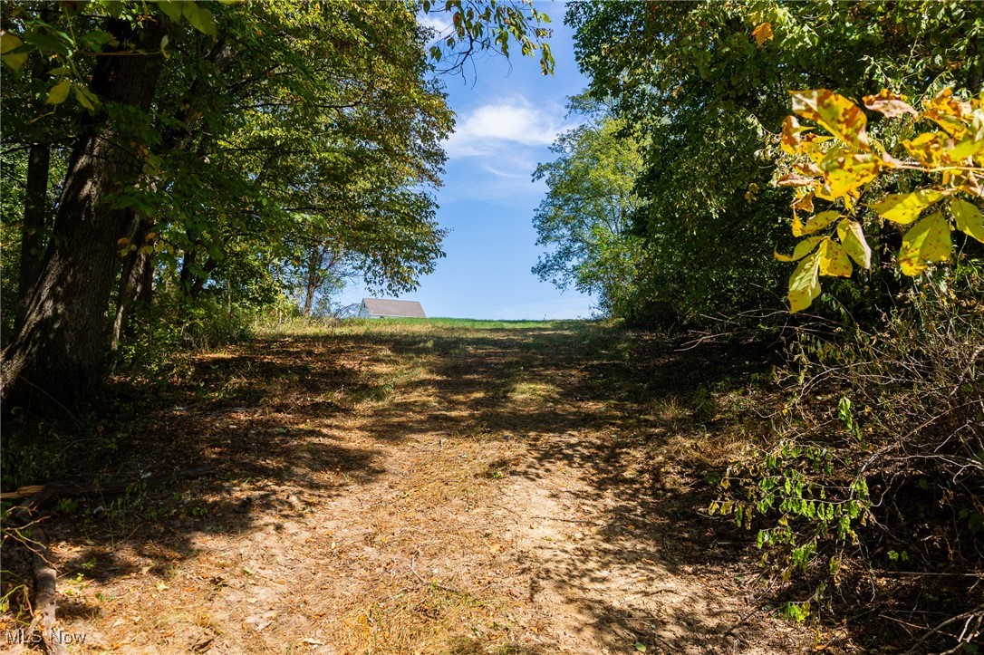 192 Township Road Cadiz, OH 43907 - Photo 11 of 31 View of nature