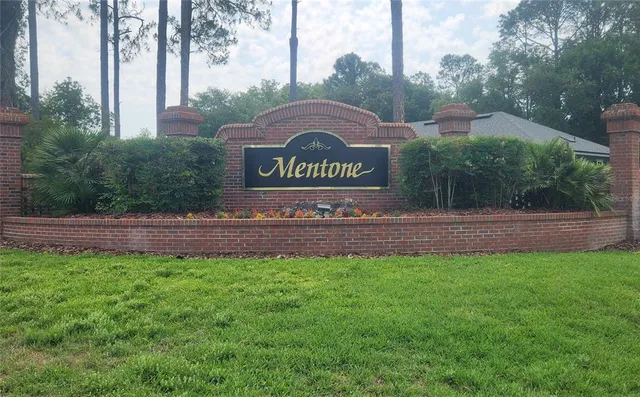 a view of a park that has a large tree
