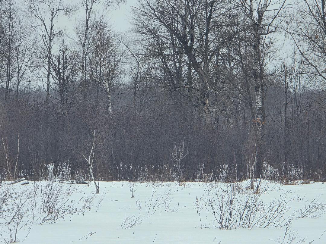 0 26 1/2 Cumberland, WI 54829 - Photo 3 of 10