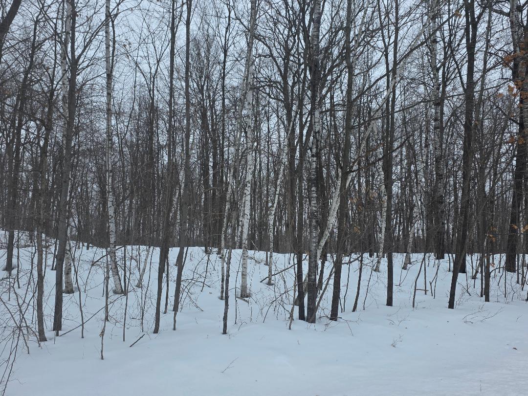 0 26 1/2 Cumberland, WI 54829 - Photo 6 of 10