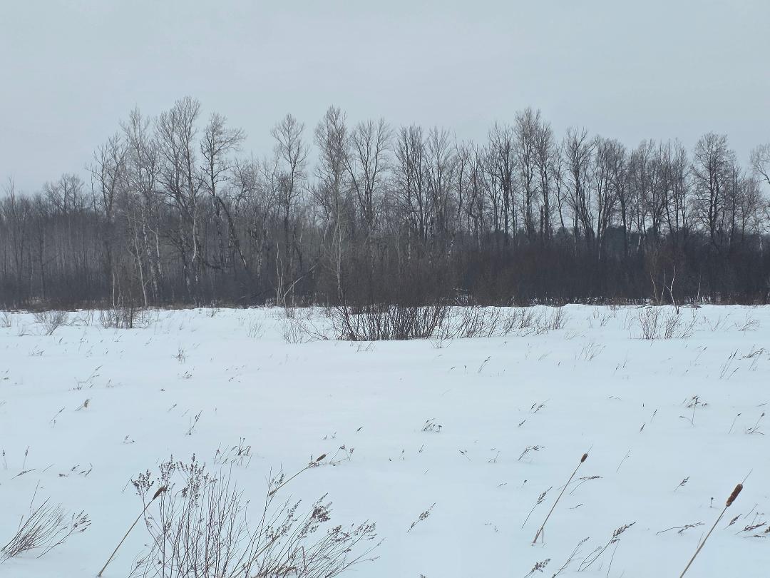 0 26 1/2 Cumberland, WI 54829 - Photo 8 of 10