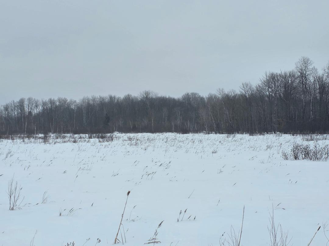 0 26 1/2 Cumberland, WI 54829 - Photo 9 of 10