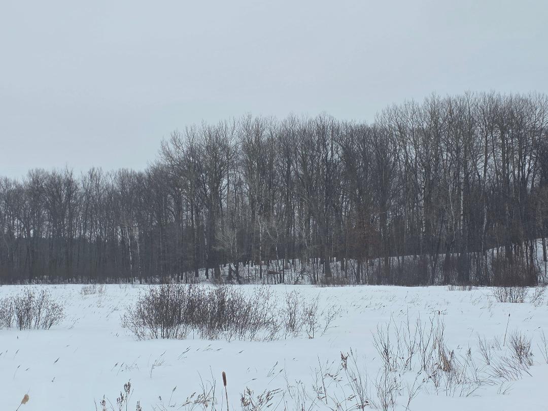 0 26 1/2 Cumberland, WI 54829 - Photo 10 of 10