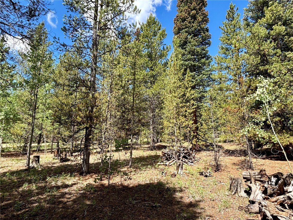 250 Skidoo Road Fairplay, CO 80440 - Photo 11 of 42 a view of a large yard with lots of green space