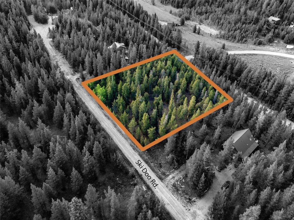 250 Skidoo Road Fairplay, CO 80440 - Photo 12 of 42 a view of a backyard with plants