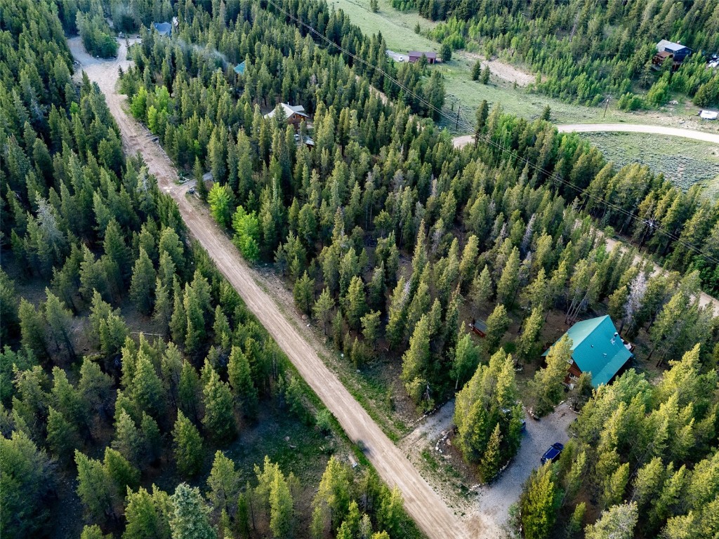 250 Skidoo Road Fairplay, CO 80440 - Photo 13 of 42 an outdoor view of house with outdoor space