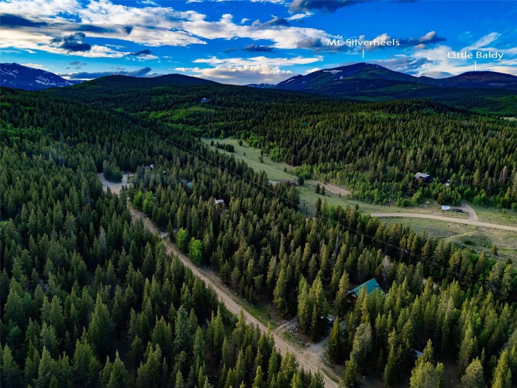 250 Skidoo Road Fairplay, CO 80440 - Photo 14 of 42 a view of a yard
