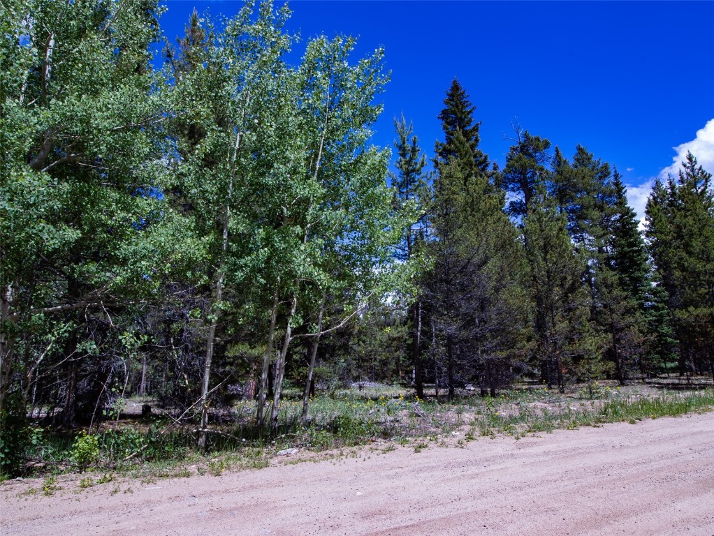 250 Skidoo Road Fairplay, CO 80440 - Photo 18 of 42 a view of a house with a tree