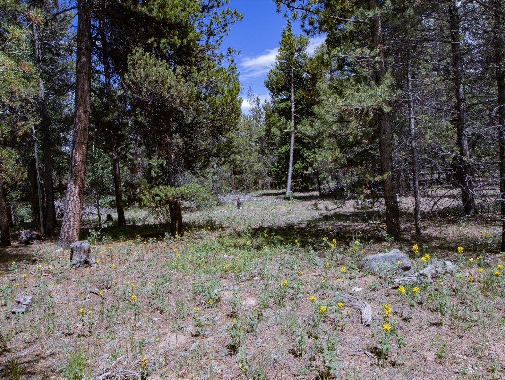 250 Skidoo Road Fairplay, CO 80440 - Photo 19 of 42 a backyard of a house with lots of green space