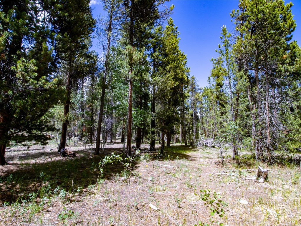 250 Skidoo Road Fairplay, CO 80440 - Photo 20 of 42 a view of outdoor space with trees