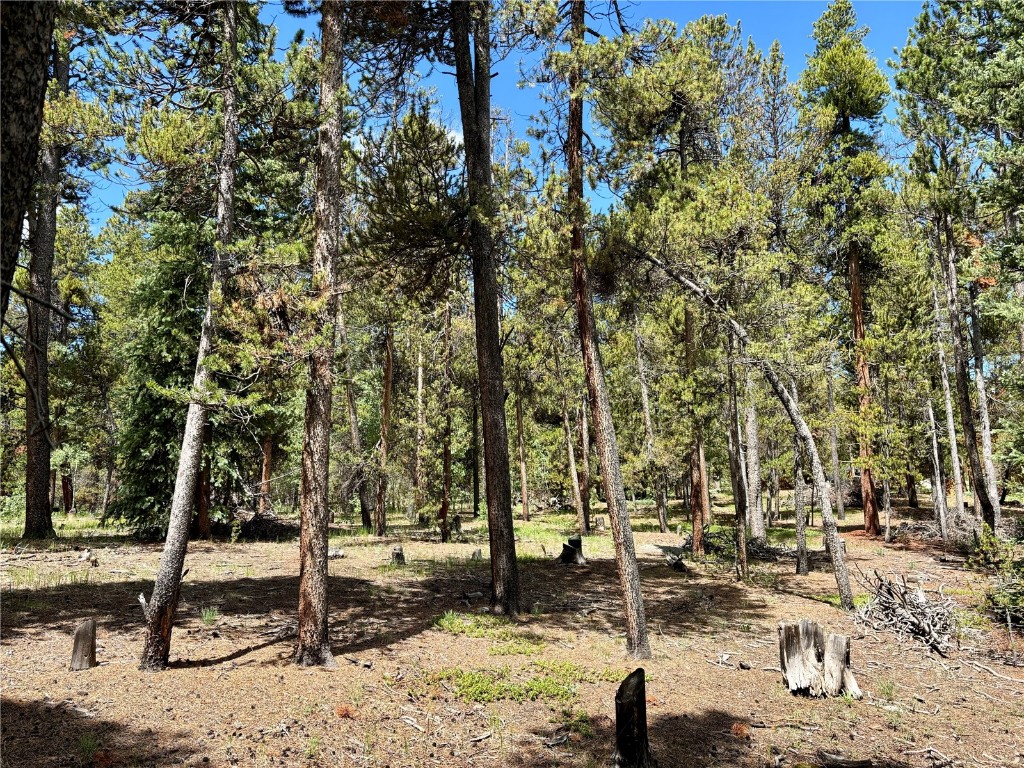 250 Skidoo Road Fairplay, CO 80440 - Photo 21 of 42 a view of outdoor space with seating area