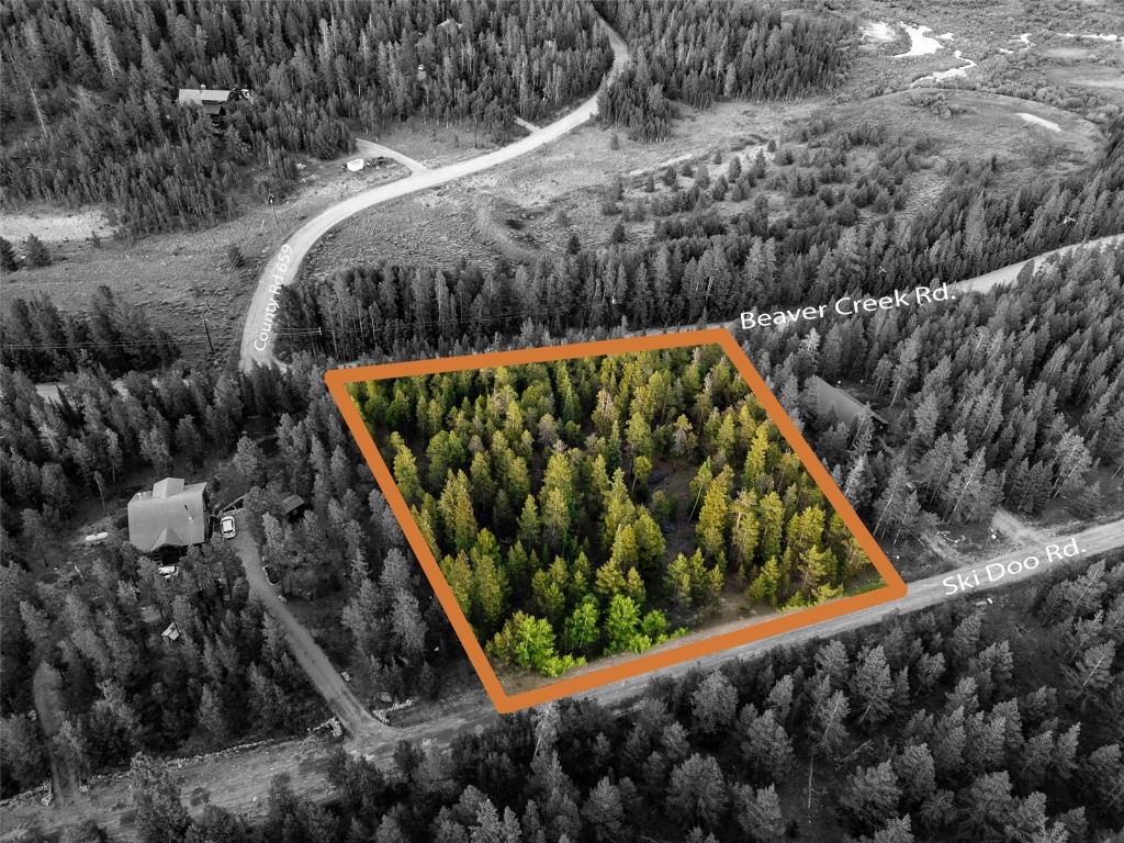 250 Skidoo Road Fairplay, CO 80440 - Photo 22 of 42 a view of a bunch of plants and trees