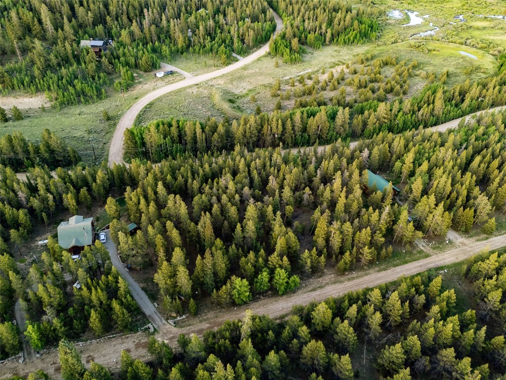250 Skidoo Road Fairplay, CO 80440 - Photo 23 of 42 a green field with lots of trees