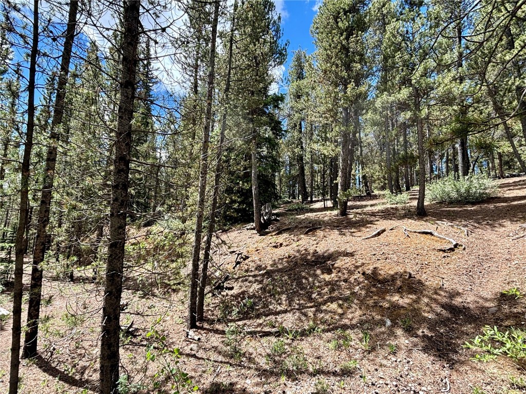 250 Skidoo Road Fairplay, CO 80440 - Photo 27 of 42 a view of outdoor space with trees