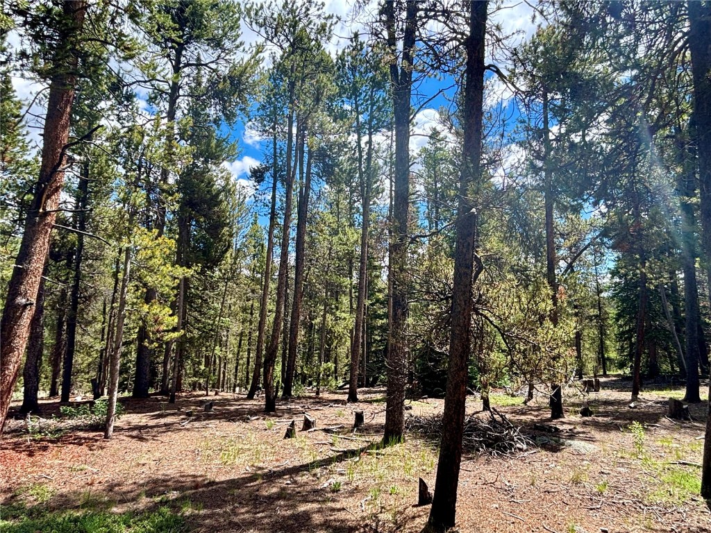 250 Skidoo Road Fairplay, CO 80440 - Photo 28 of 42 a view of outdoor space with trees