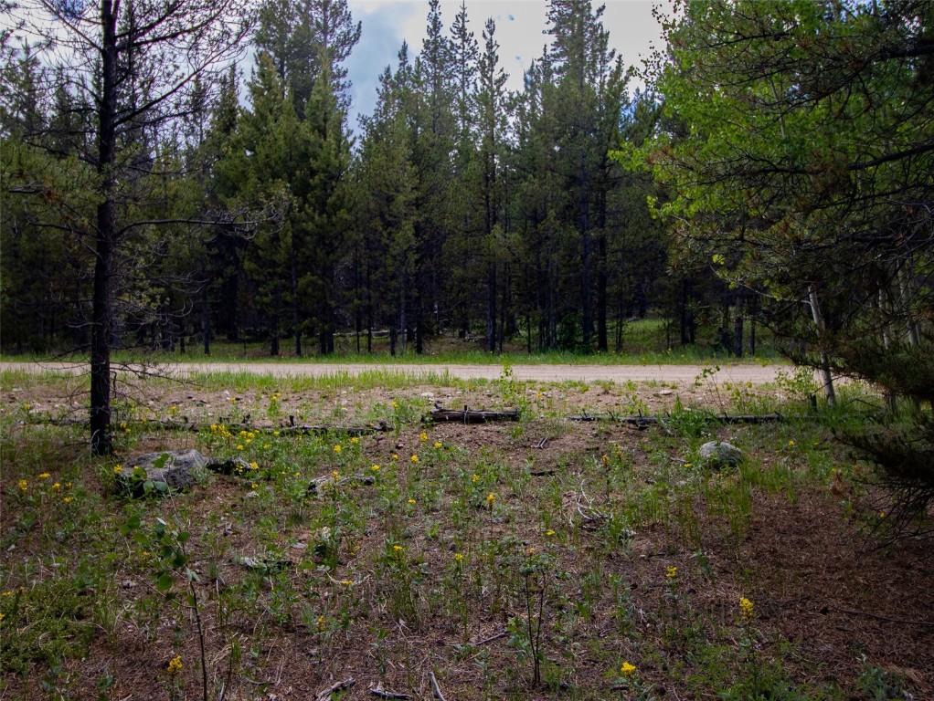 250 Skidoo Road Fairplay, CO 80440 - Photo 33 of 42 a view of a park