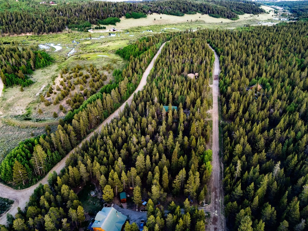 250 Skidoo Road Fairplay, CO 80440 - Photo 35 of 42 a view of a yard with plants and flowers