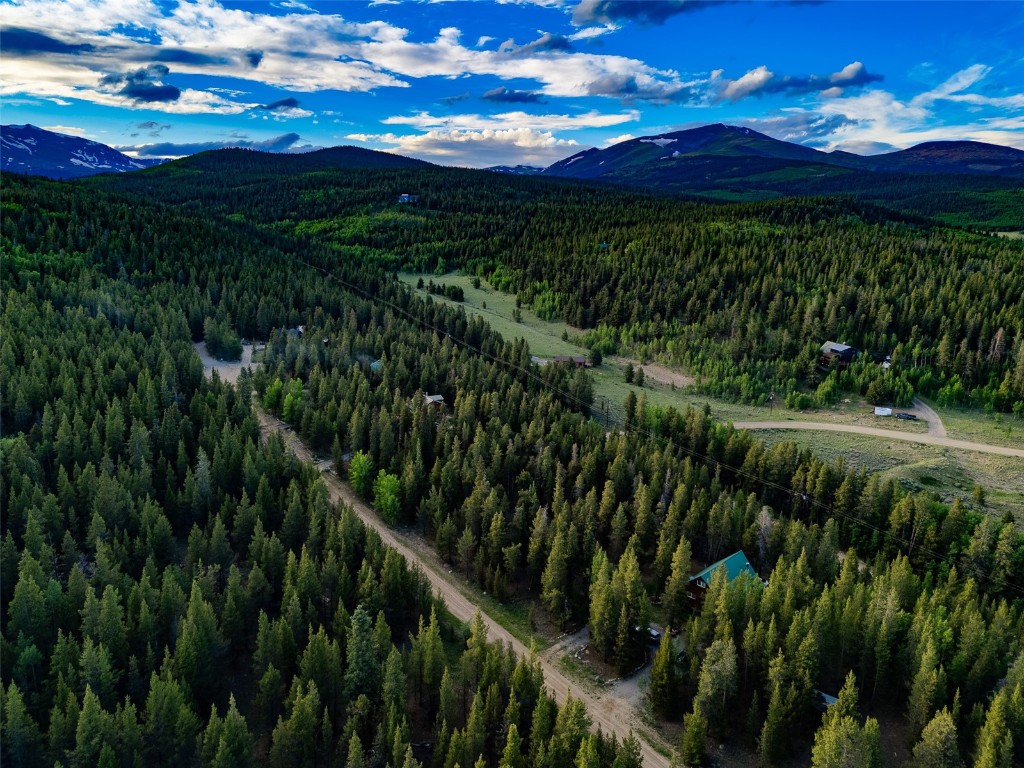 250 Skidoo Road Fairplay, CO 80440 - Photo 36 of 42 a view of an outdoor and a yard