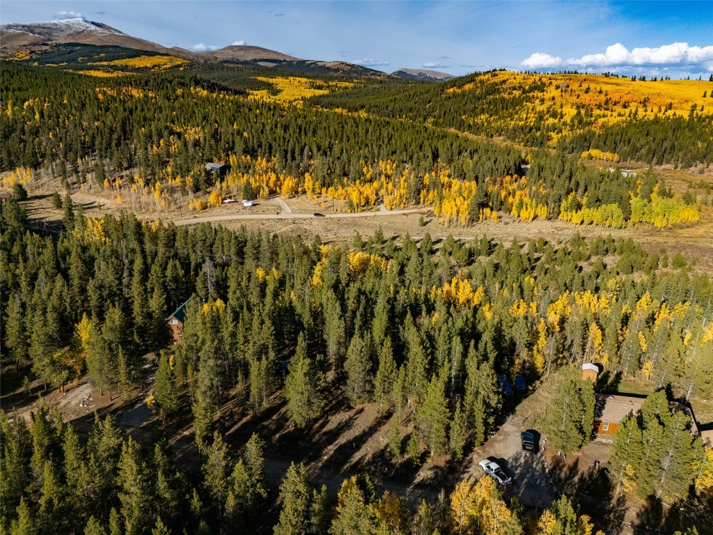 250 Skidoo Road Fairplay, CO 80440 - Photo 4 of 42 a view of an ocean