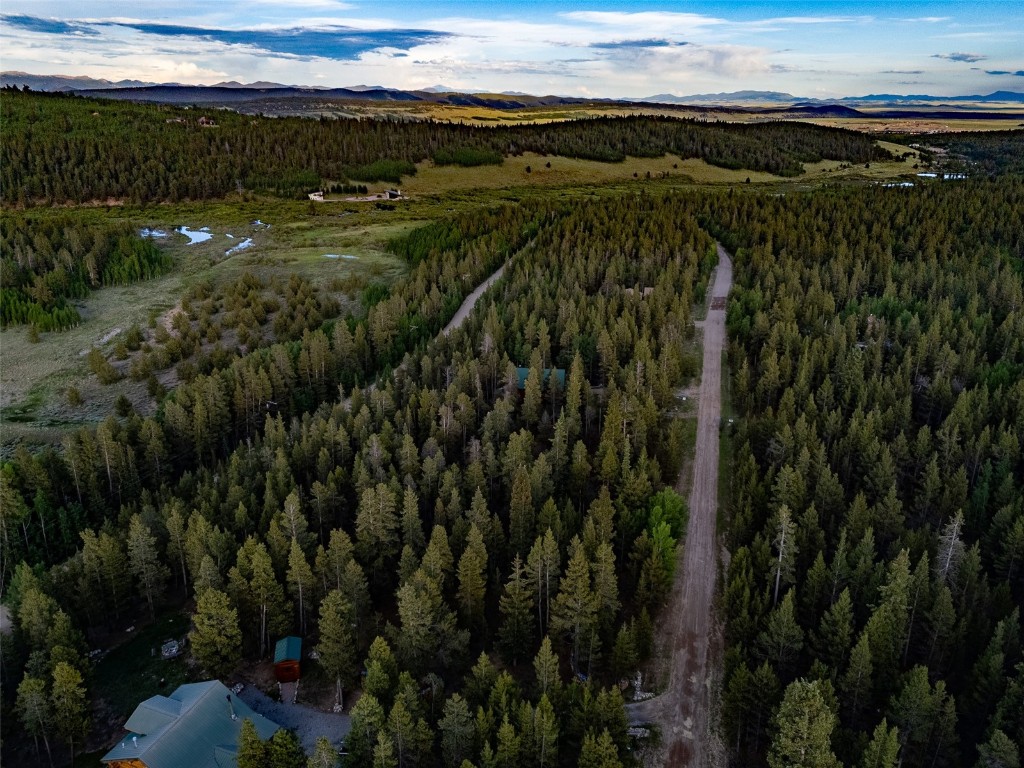 250 Skidoo Road Fairplay, CO 80440 - Photo 41 of 42 a view of outdoor space and ocean