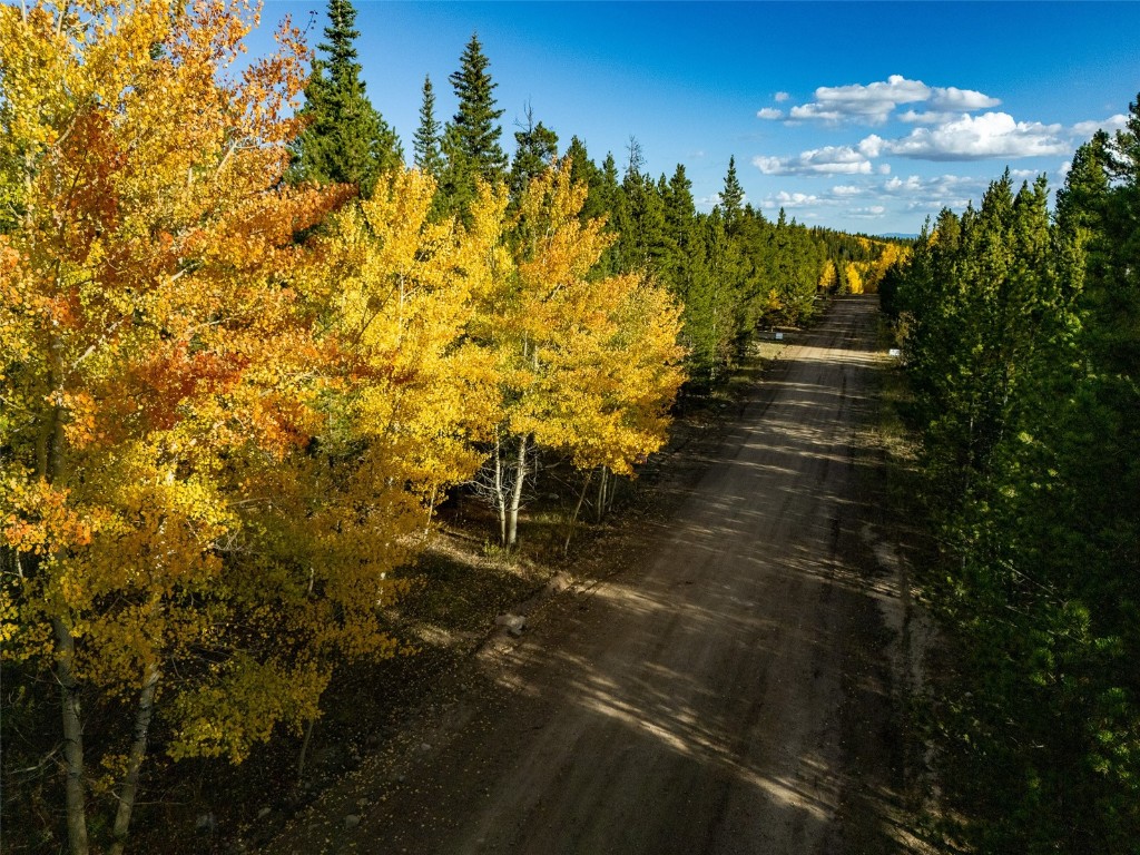 250 Skidoo Road Fairplay, CO 80440 - Photo 5 of 42