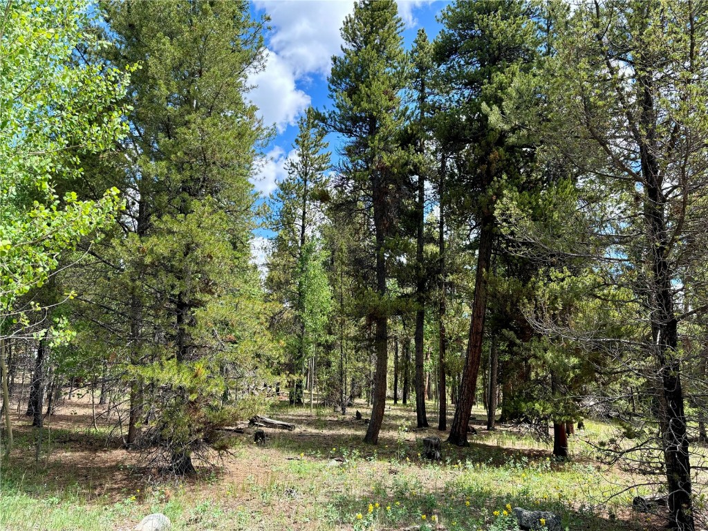 250 Skidoo Road Fairplay, CO 80440 - Photo 9 of 42 a view of park