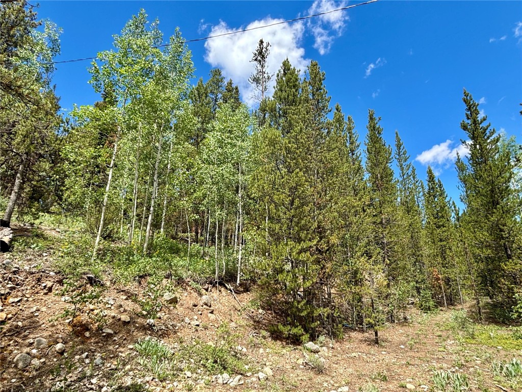 250 Skidoo Road Fairplay, CO 80440 - Photo 10 of 42 a view of a garden