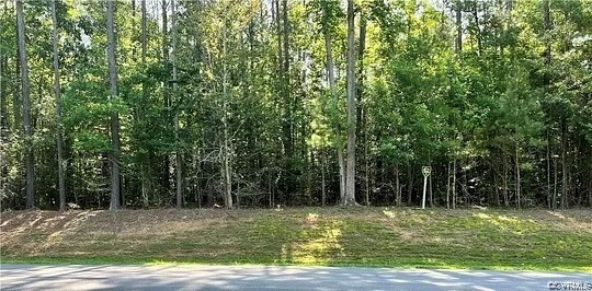 N/a Williamson Road Dinwiddie, VA 23841 - Photo 1 of 1 Gallery Image 1