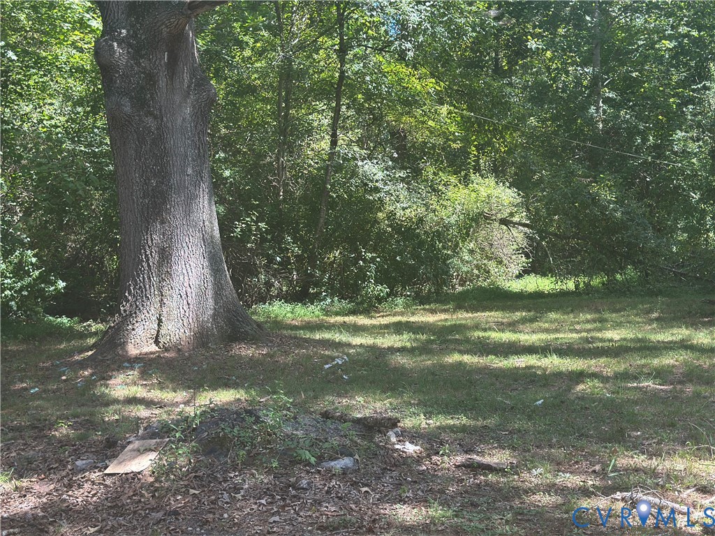 4678 Bell Road Powhatan, VA 23139 - Photo 6 of 8 Gallery Image 6