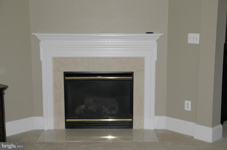 24797 Shells Way Stone Ridge, VA 20105 - Photo 4 of 28 Bedroom (Master)