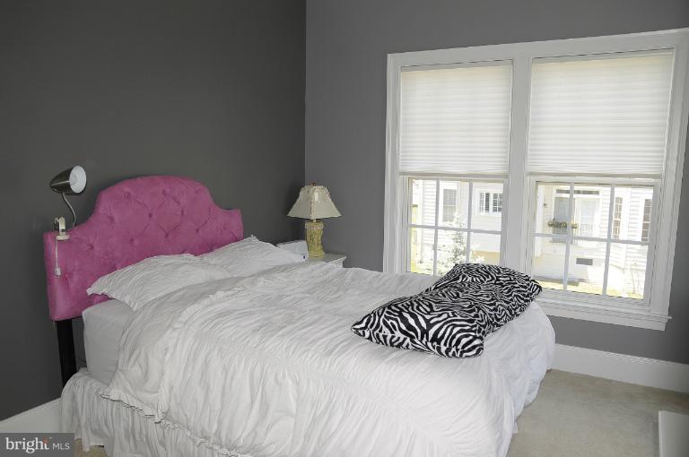 24797 Shells Way Stone Ridge, VA 20105 - Photo 5 of 28 Bedroom