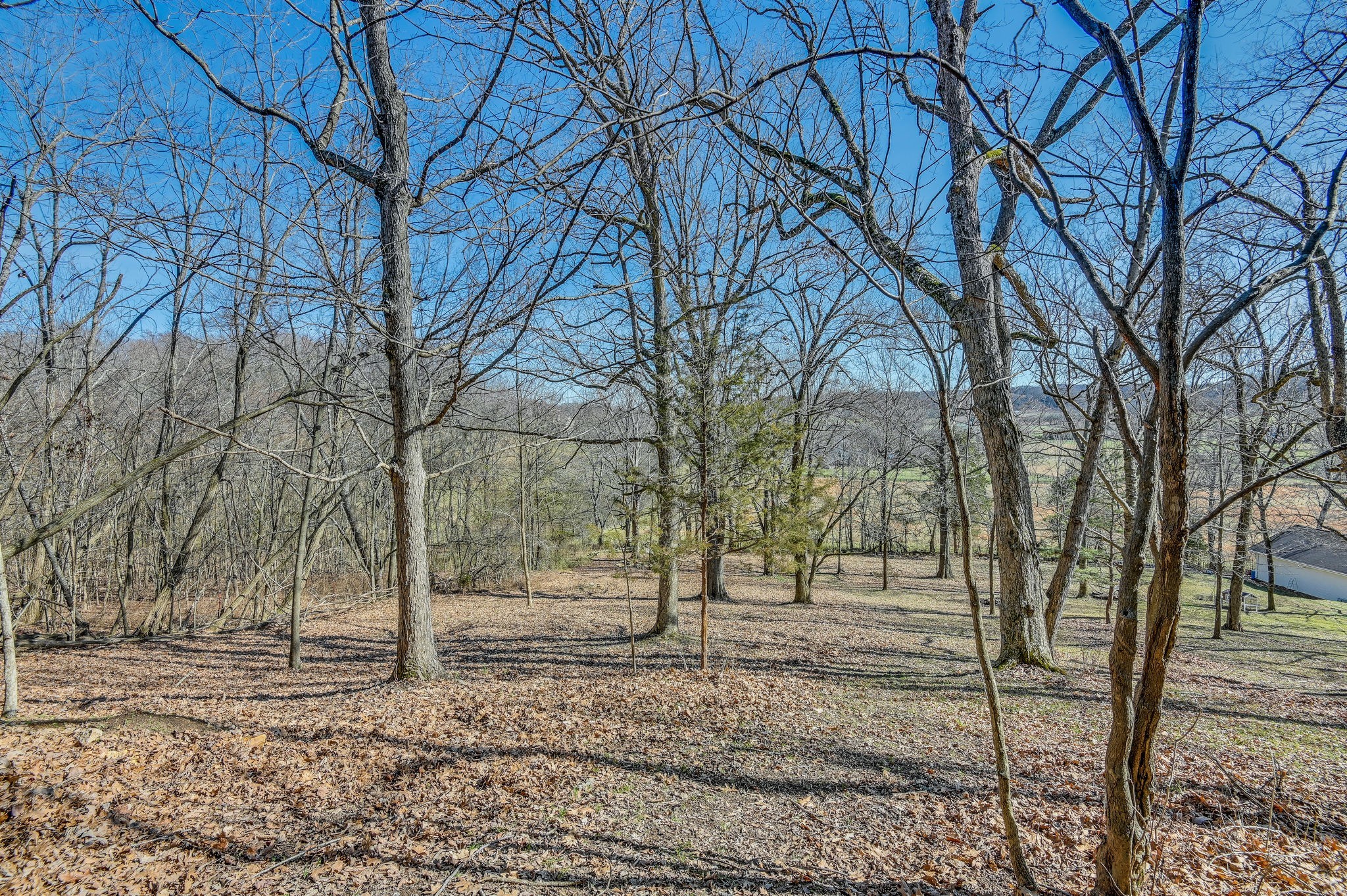 1976 Evergreen Road Thompson's Station, TN 37179 - Photo 49 of 50 Gallery Image 49