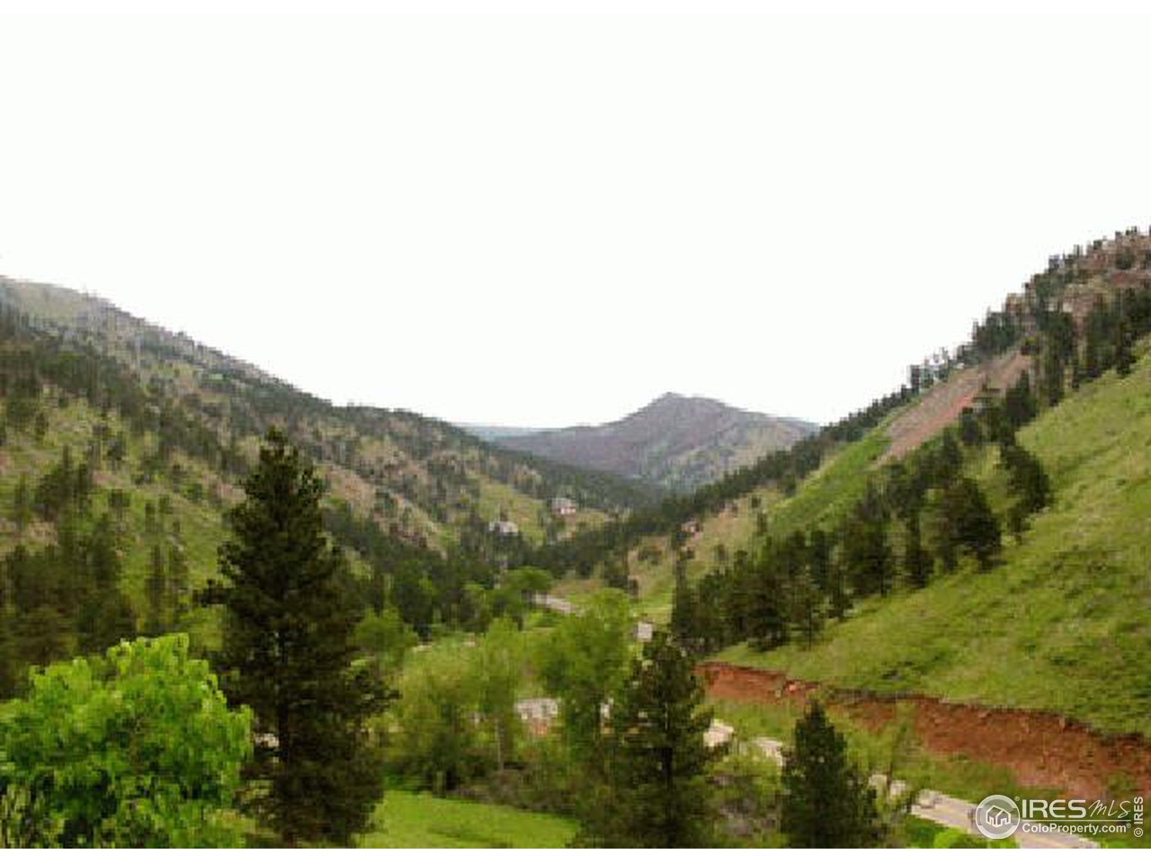 0 Olde Stage Road Boulder, CO 80302 - Photo 1 of 4 a view of a forest with mountains in the background